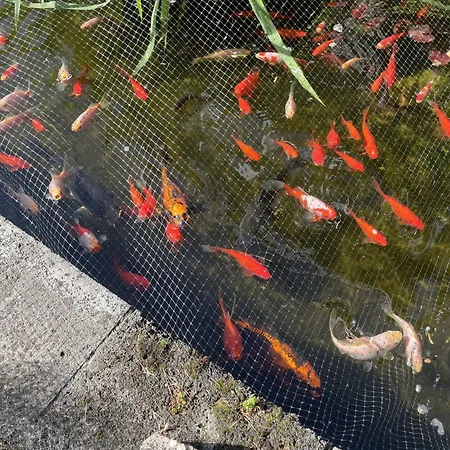 Burkhardt Сasa de vacaciones