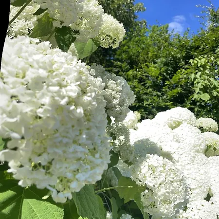 Burkhardt Сasa de vacaciones *