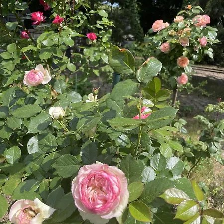 Сasa de vacaciones Burkhardt *