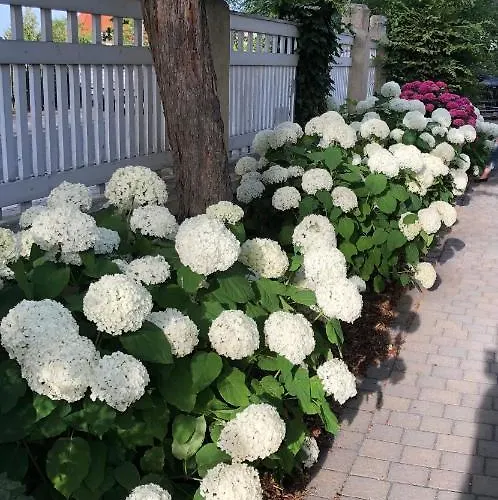 Burkhardt 度假居 *