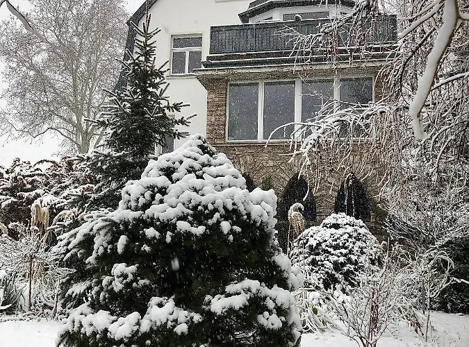 Burkhardt マイセン