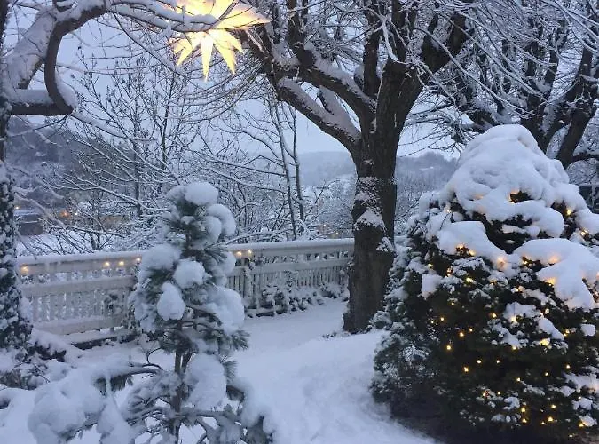 別荘 Burkhardt マイセン