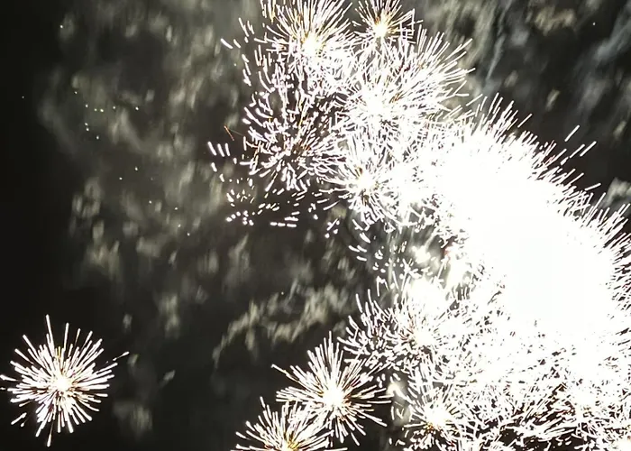 度假居 Burkhardt Meißen