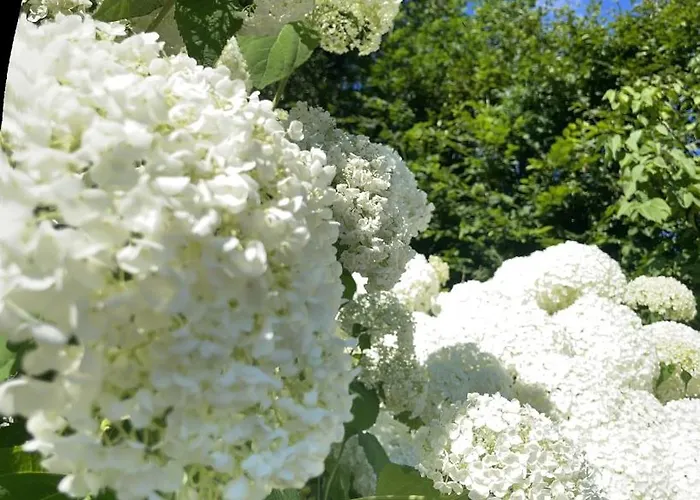 Burkhardt 度假居 *